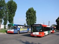 Solaris Urbino12 III #555