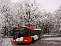 Solaris Urbino12 III #555