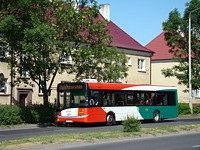 Solaris Urbino12 III #555