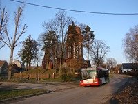 Zdj�cie miesi�ca