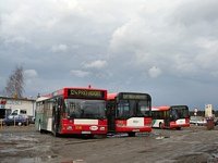 MAN NL202 #558