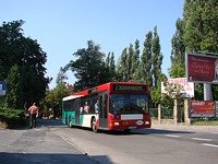 MAN NL202 #558
