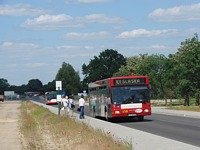MAN NL202 #558