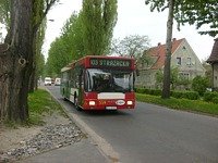 MAN NL202 #559