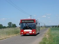 MAN NL202 #559