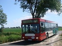 MAN NL202 #559