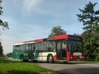 MAN NL202 #559