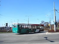 Neoplan N4016 #562
