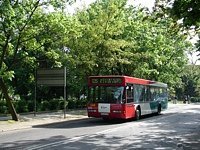 Neoplan N4016 #562
