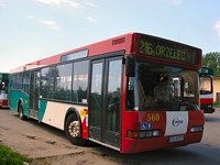 Neoplan N4016 #562