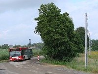 MAN NL202 #563