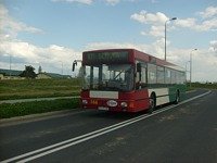MAN NL202 #566