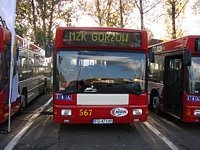 MAN NL202 #567