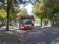 MAN NL202 #571