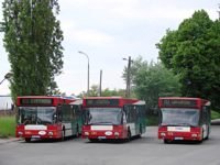 MAN NL202 #574