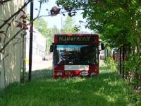 MAN NL202 #574