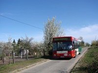 MAN NL202 #575