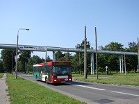 MAN NL202 #575