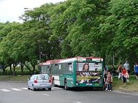 MAN NL202 #575