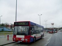 MAN NM192 #576