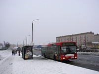 MAN NL202 #590