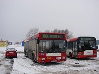 MAN NL202 #590