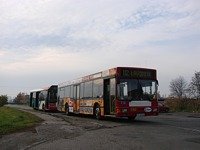 MAN NL202 #590
