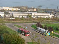 MAN NL202 #590