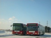 MAN NL202 #591