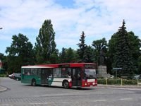 MAN NL202 #591