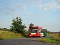 MAN NL202 #591