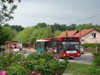 MAN NL202 #591