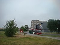 MAN NL202 #591
