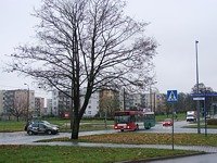 MAN NL202 #592