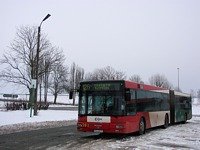 MAN NG313 #593