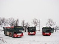 MAN NG313 #593