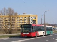MAN NG313 #593