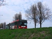 MAN NG313 #593