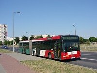 MAN NG313 #593