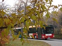 MAN NG313 #593