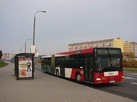 MAN NG313 #593