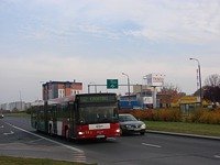 MAN NG313 #593