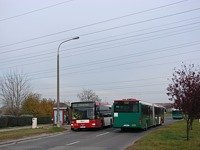 MAN NG313 #593