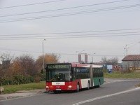 MAN NG313 #593