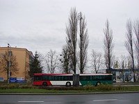 MAN NG313 #593