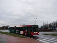 MAN NG313 #593