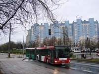 MAN NG313 #593