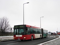 MAN NG313 #593