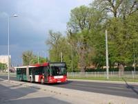 MAN NG313 #593