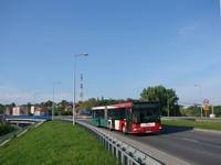 Zdj�cie miesi�ca